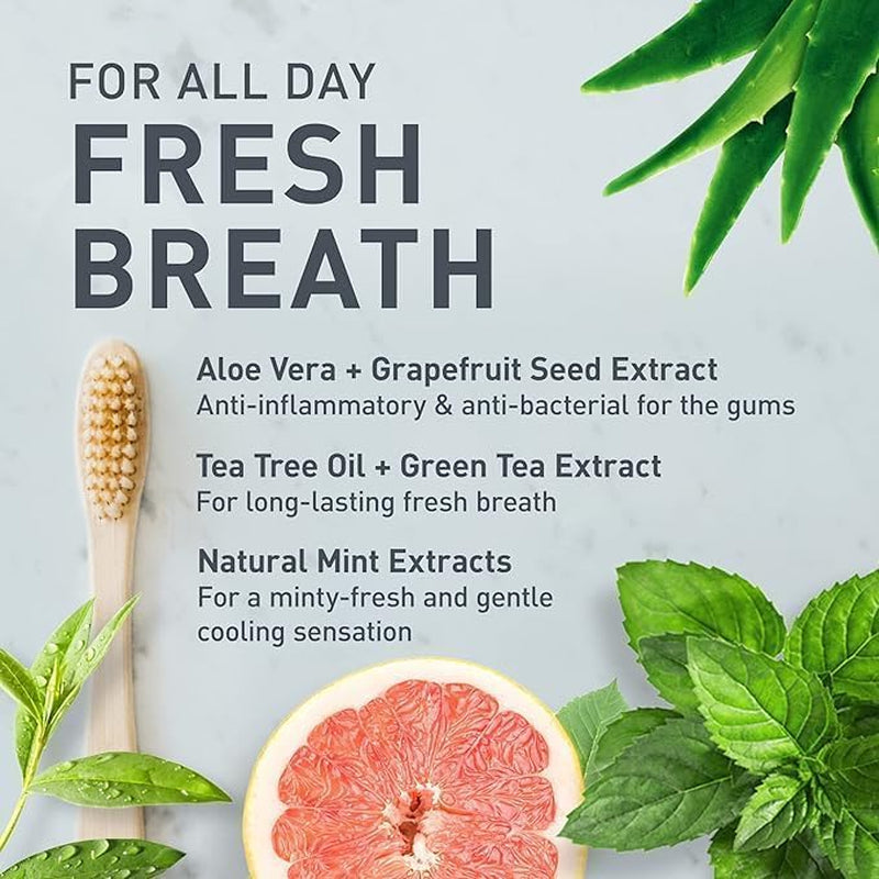 Experience Freshness with ABS Fresh Mint Charcoal Toothpaste Tablets - 124 Count - Vegan, Fluoride-Free, Eco-Friendly Oral Care for Healthy Teeth and Gums - Perfect for Travel!